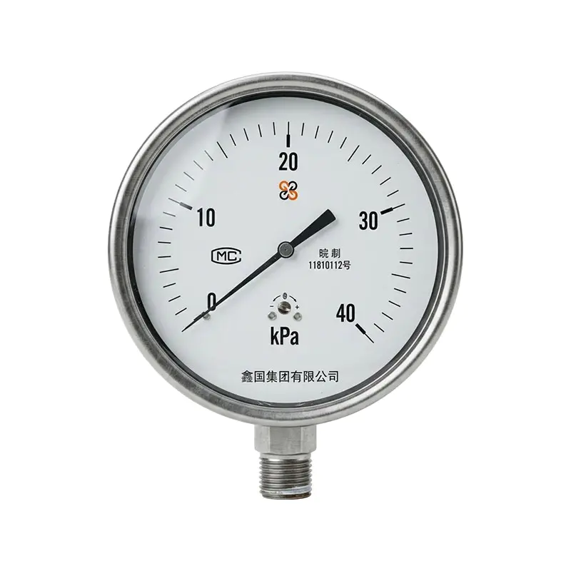 Manómetro con caja de diafragma de acero inoxidable XG/YE-100B